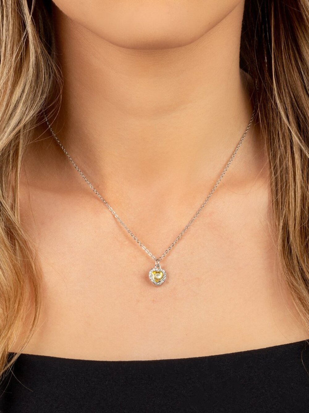 Paparazzi Necklace (NS309)